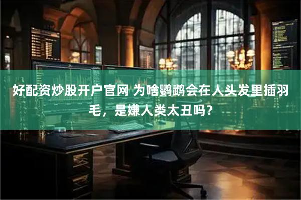 好配资炒股开户官网 为啥鹦鹉会在人头发里插羽毛，是嫌人类太丑吗？