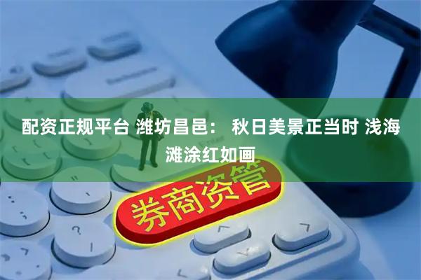 配资正规平台 潍坊昌邑： 秋日美景正当时 浅海滩涂红如画